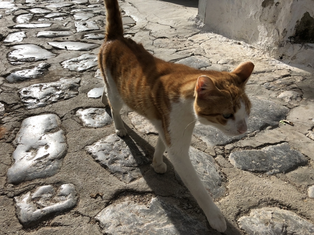 f:id:kiritanpotan:20180120012952j:plain