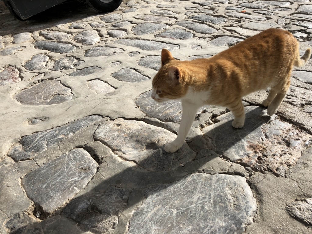 f:id:kiritanpotan:20180120013004j:plain