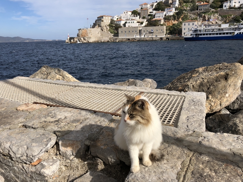 f:id:kiritanpotan:20180120015036j:plain