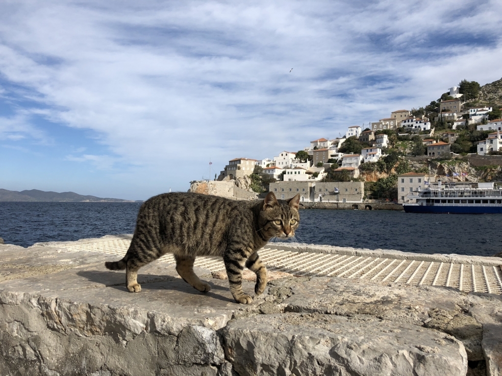 f:id:kiritanpotan:20180120015051j:plain