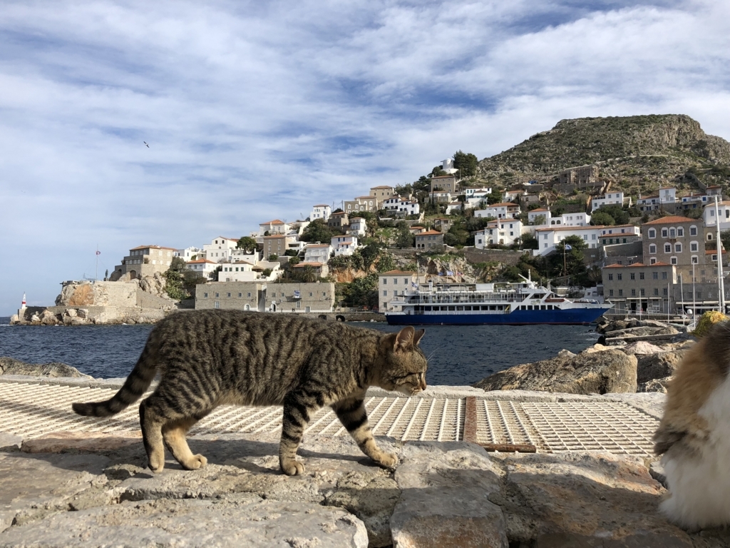 f:id:kiritanpotan:20180120015108j:plain