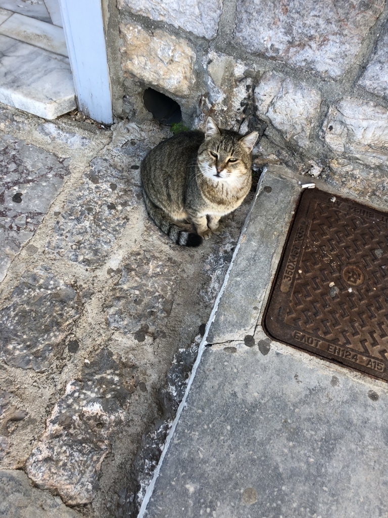 f:id:kiritanpotan:20180120015342j:plain