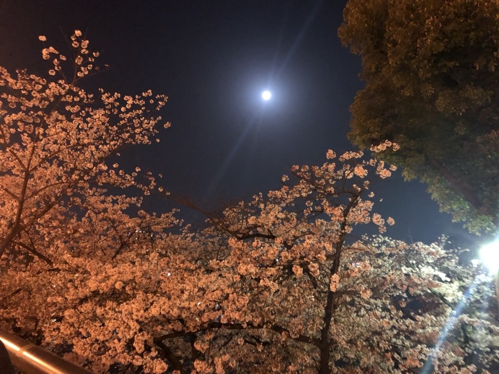 f:id:kiritanpotan:20180401130614j:plain f:id:kiritanpotan:20180401130614j:plain