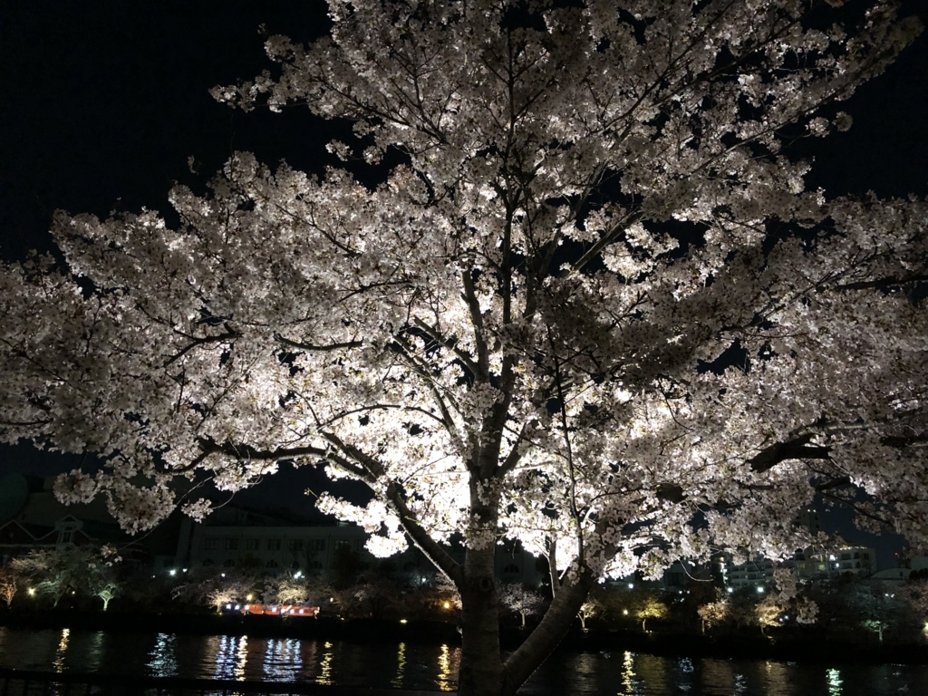 f:id:kiritanpotan:20180401130629j:plain f:id:kiritanpotan:20180401130629j:plain