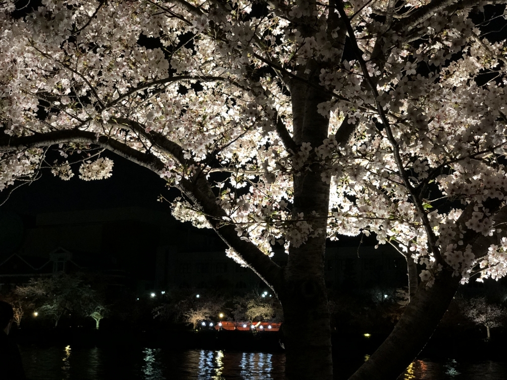 f:id:kiritanpotan:20180401130640j:plain f:id:kiritanpotan:20180401130640j:plain