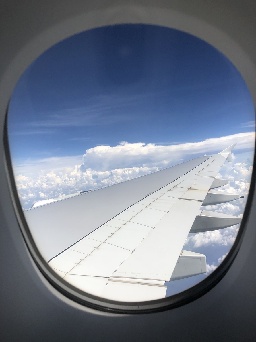 f:id:kiritanpotan:20190629233623j:plain f:id:kiritanpotan:20190629233623j:plain