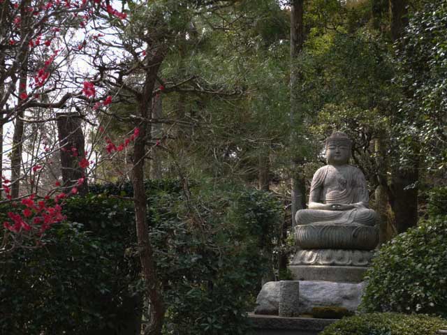 イメージ 20