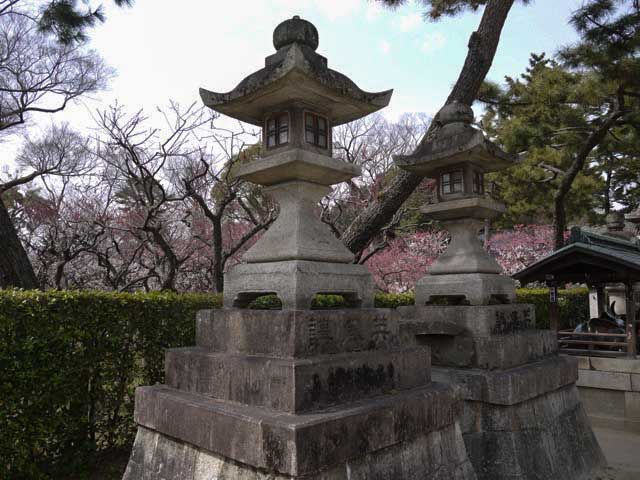 イメージ 24