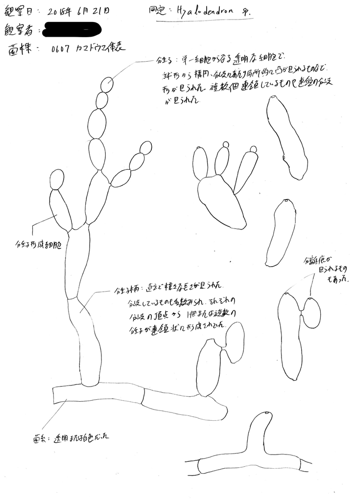 f:id:kirituku:20181125223533j:plain f:id:kirituku:20181125223533j:plain