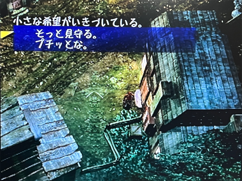 f:id:kiroe:20260614180141j:image f:id:kiroe:20260614180141j:image