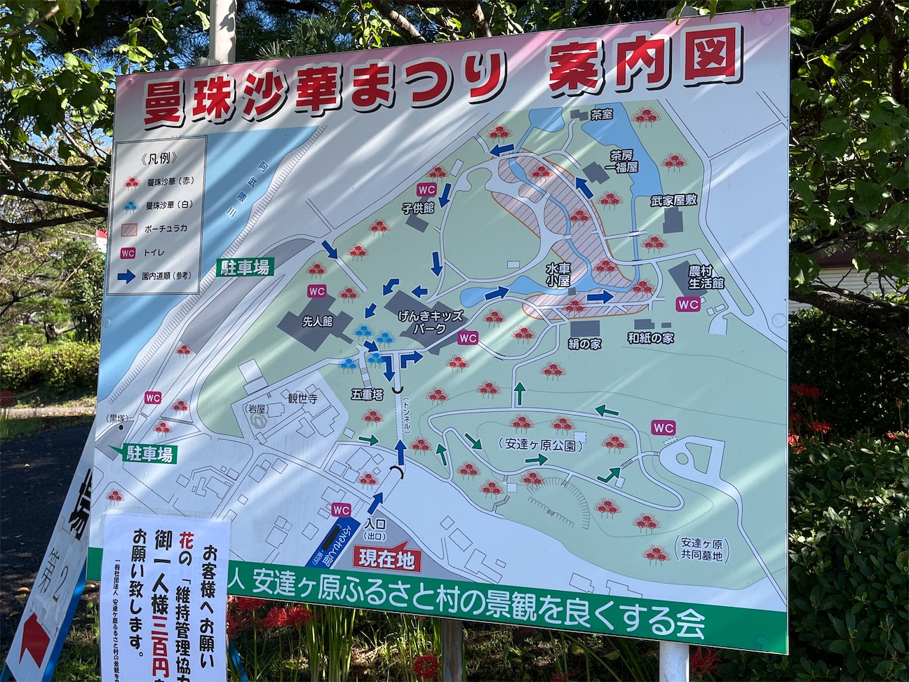 f:id:kiroe:20260922141731j:image f:id:kiroe:20260922141731j:image