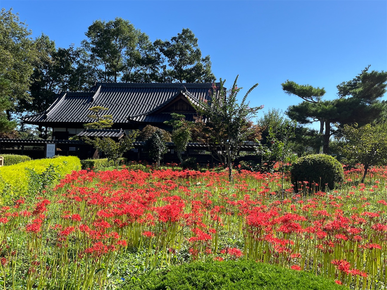 f:id:kiroe:20260922141744j:image f:id:kiroe:20260922141744j:image