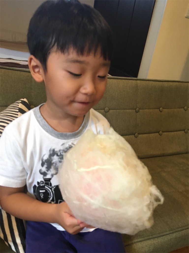 f:id:kiroguramu:20190715223158j:image