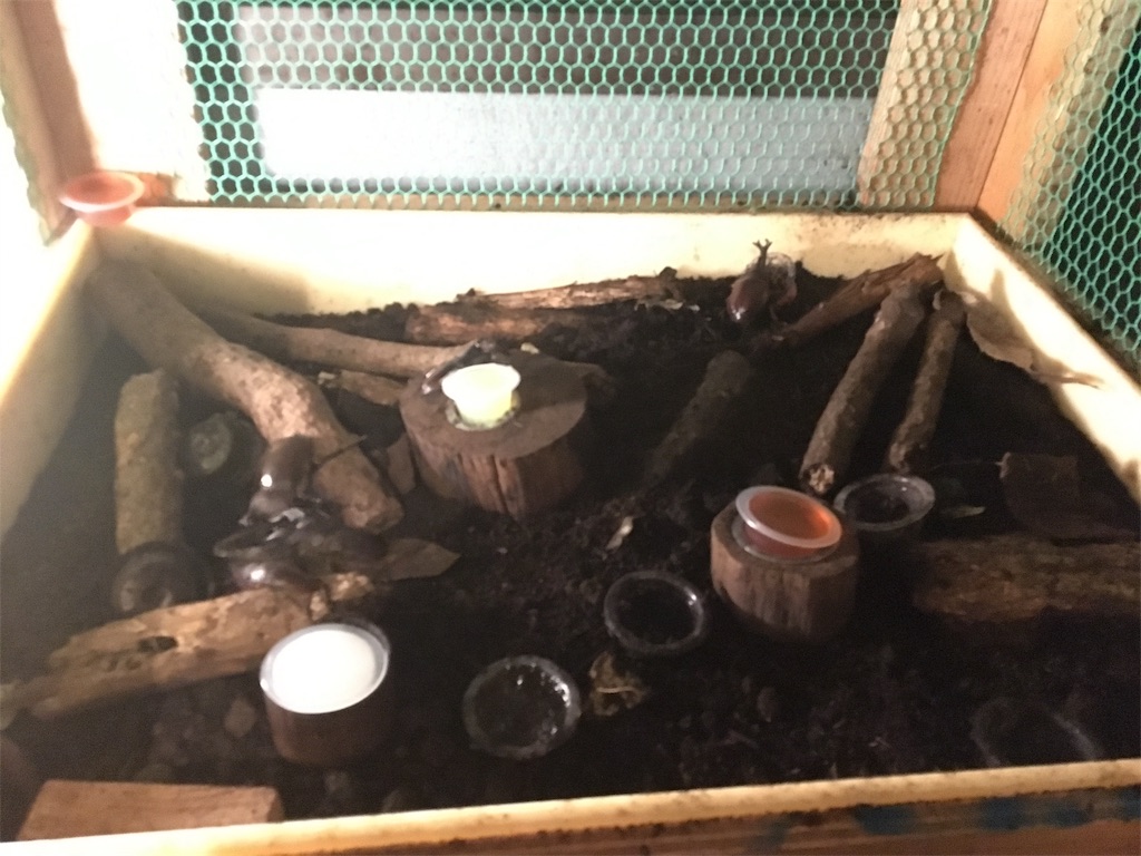 f:id:kiroguramu:20190723222543j:image