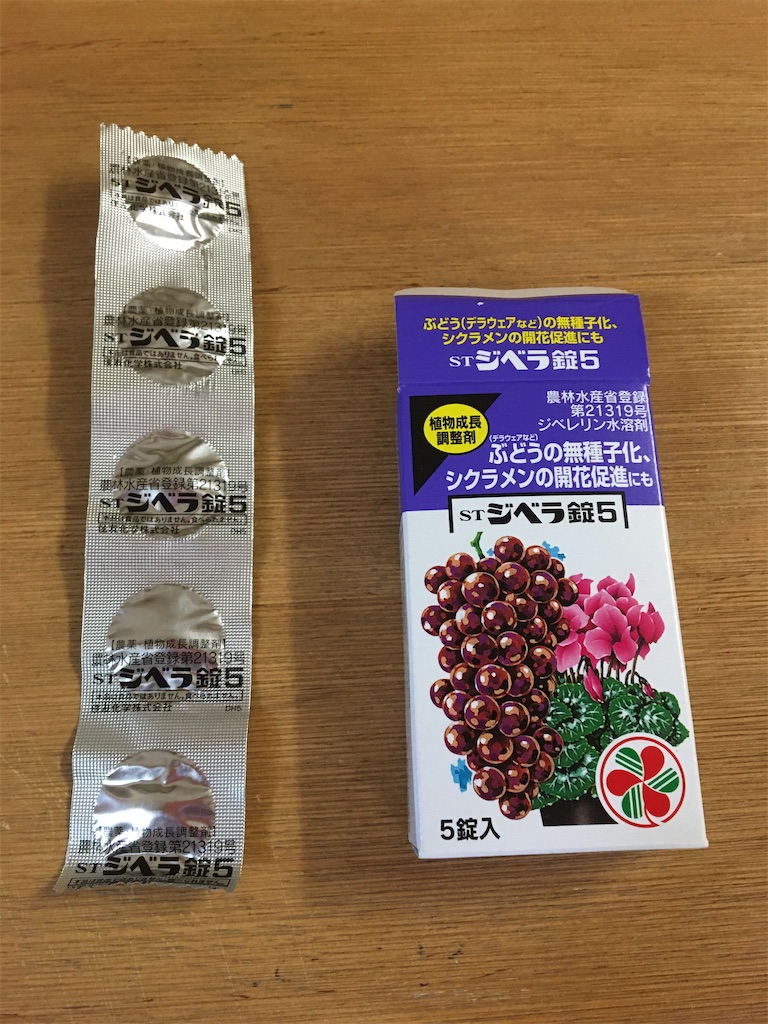 f:id:kiroguramu:20200517135017j:image