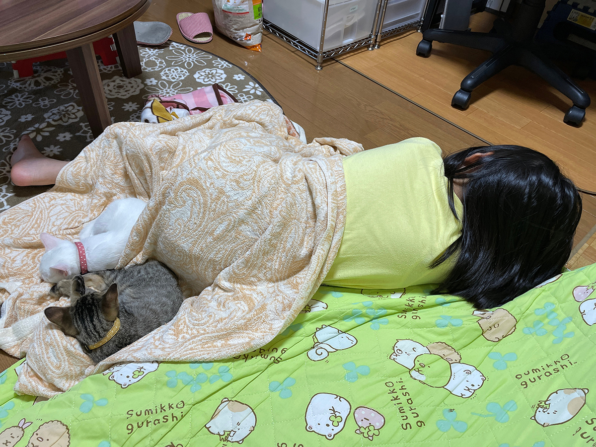 f:id:kiroitori123:20211015220552j:plain