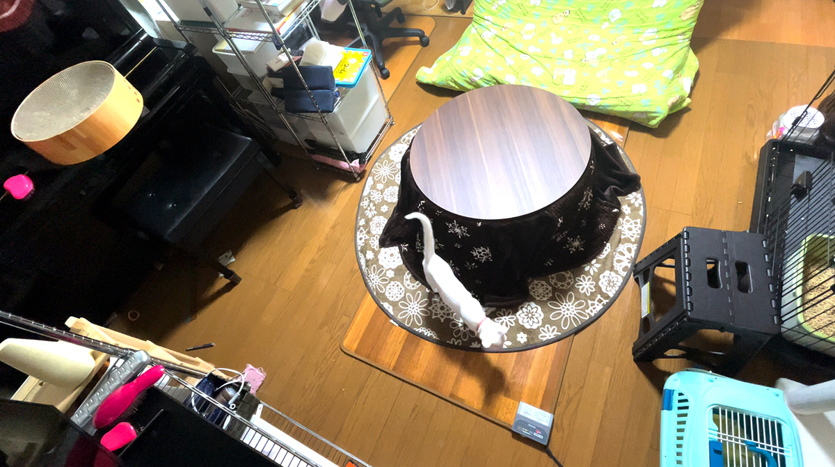 f:id:kiroitori123:20211207224927j:plain