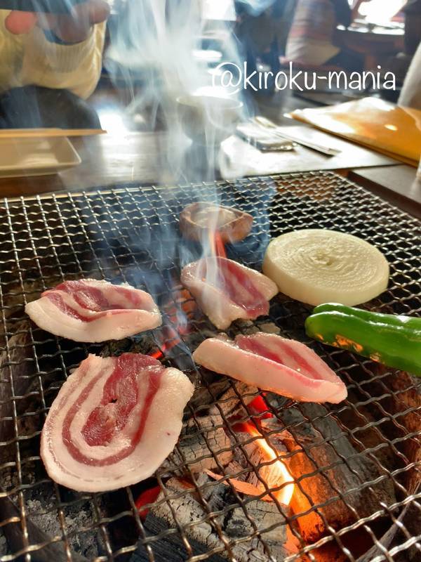 f:id:kiroku-mania:20200423213518j:plain f:id:kiroku-mania:20200423213518j:plain