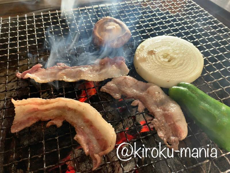 f:id:kiroku-mania:20200423213523j:plain f:id:kiroku-mania:20200423213523j:plain