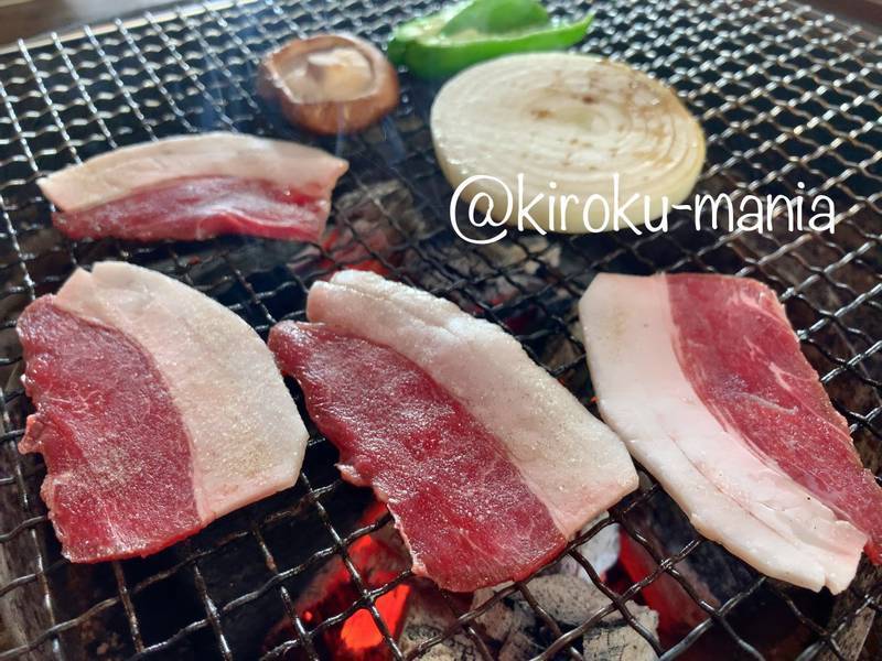 f:id:kiroku-mania:20200423213528j:plain f:id:kiroku-mania:20200423213528j:plain