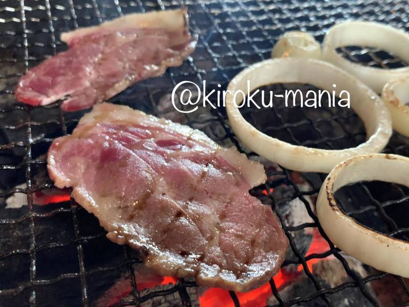 f:id:kiroku-mania:20200423213534j:plain f:id:kiroku-mania:20200423213534j:plain