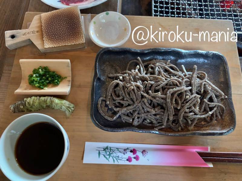 f:id:kiroku-mania:20200423213545j:plain f:id:kiroku-mania:20200423213545j:plain