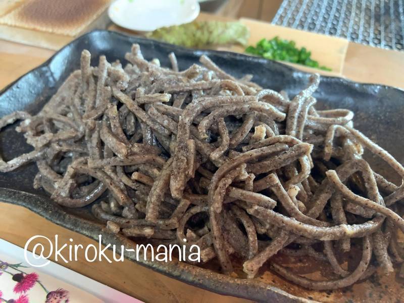f:id:kiroku-mania:20200423213550j:plain f:id:kiroku-mania:20200423213550j:plain