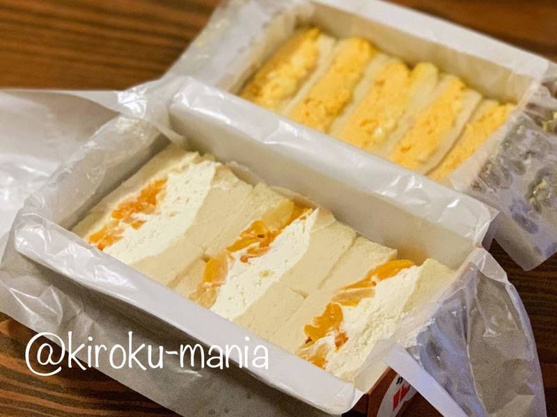 f:id:kiroku-mania:20200424192047j:plain f:id:kiroku-mania:20200424192047j:plain