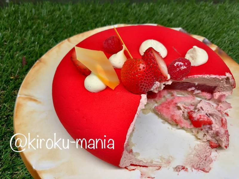 f:id:kiroku-mania:20200508105412j:plain f:id:kiroku-mania:20200508105412j:plain