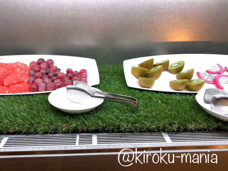 f:id:kiroku-mania:20200508105538j:plain f:id:kiroku-mania:20200508105538j:plain