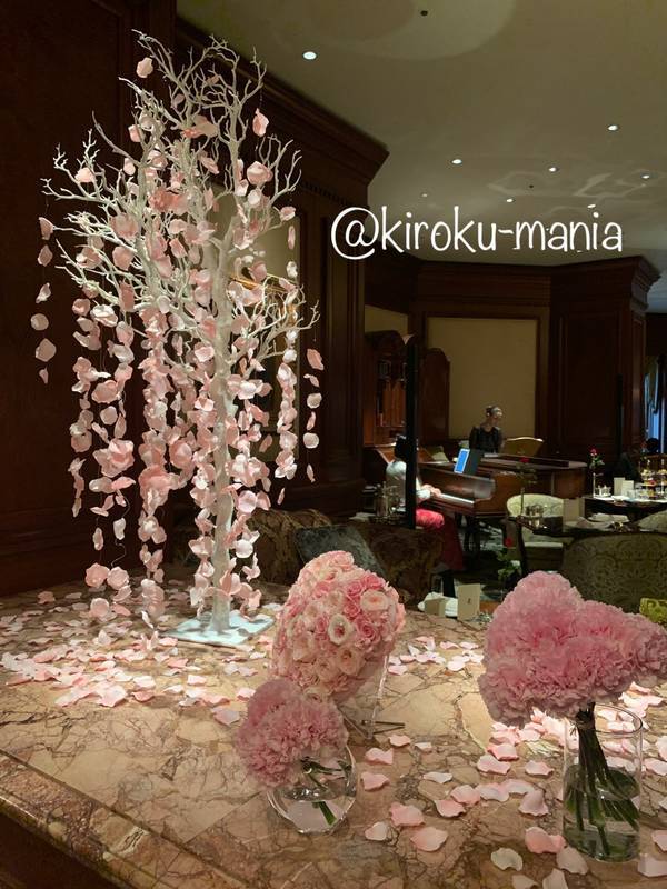 f:id:kiroku-mania:20200524122002j:plain f:id:kiroku-mania:20200524122002j:plain