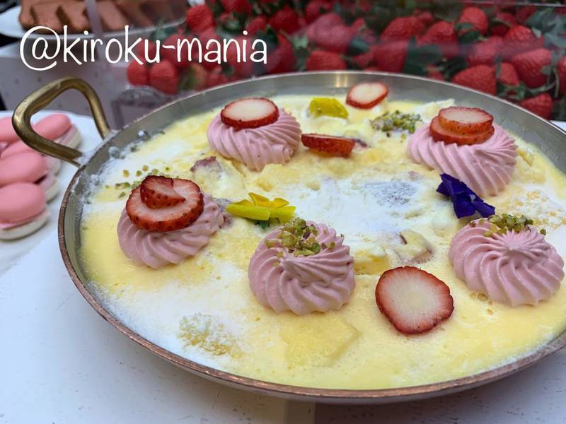 f:id:kiroku-mania:20200524122050j:plain f:id:kiroku-mania:20200524122050j:plain