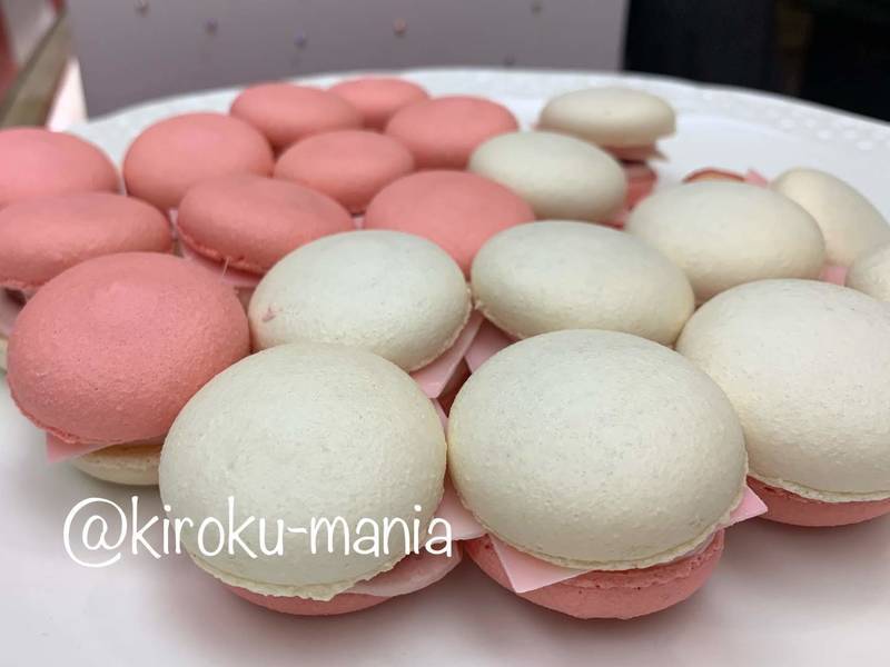 f:id:kiroku-mania:20200524122129j:plain f:id:kiroku-mania:20200524122129j:plain