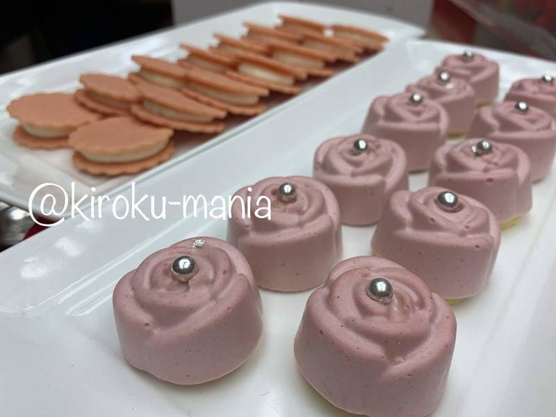 f:id:kiroku-mania:20200524122138j:plain f:id:kiroku-mania:20200524122138j:plain