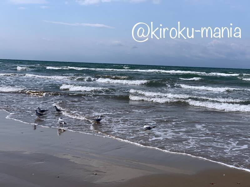 f:id:kiroku-mania:20200702194330j:plain f:id:kiroku-mania:20200702194330j:plain