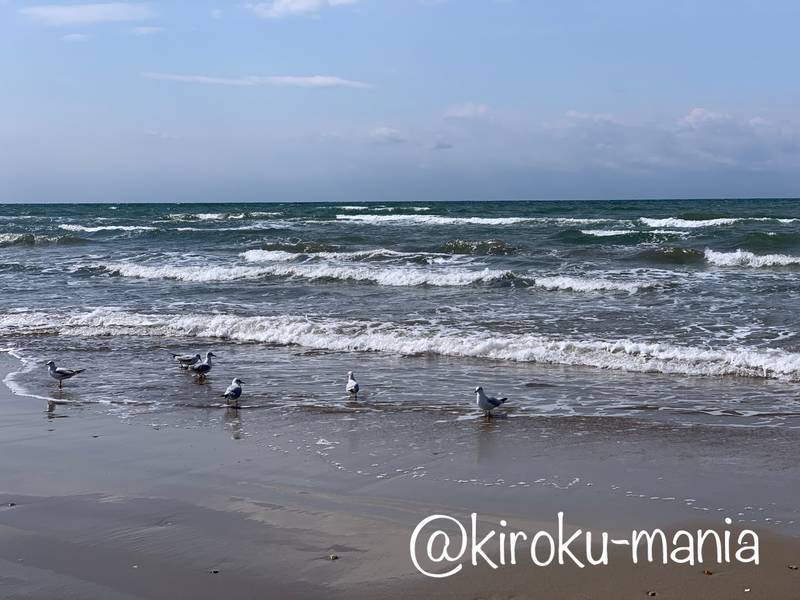 f:id:kiroku-mania:20200702194339j:plain f:id:kiroku-mania:20200702194339j:plain