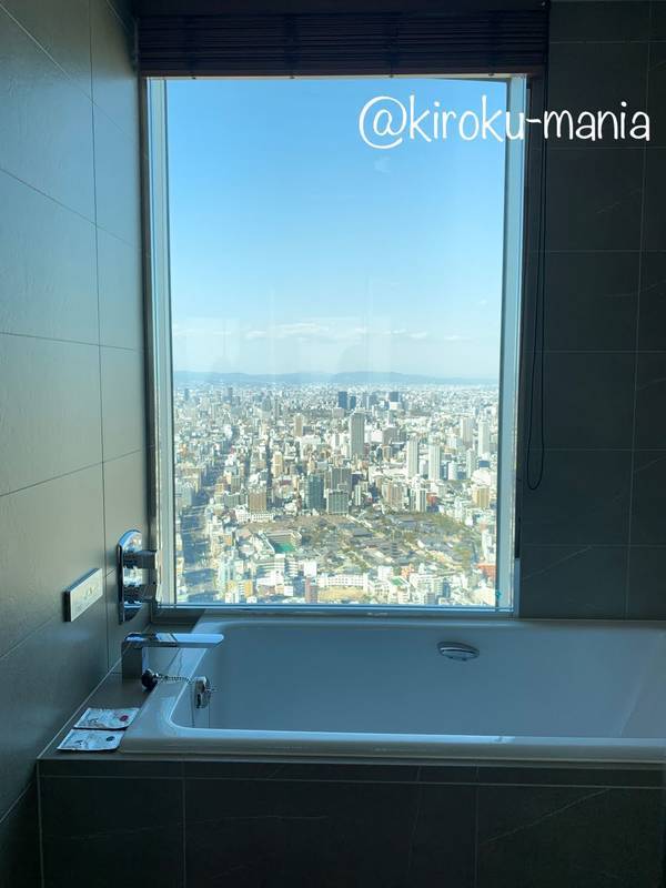 f:id:kiroku-mania:20200705061226j:plain f:id:kiroku-mania:20200705061226j:plain