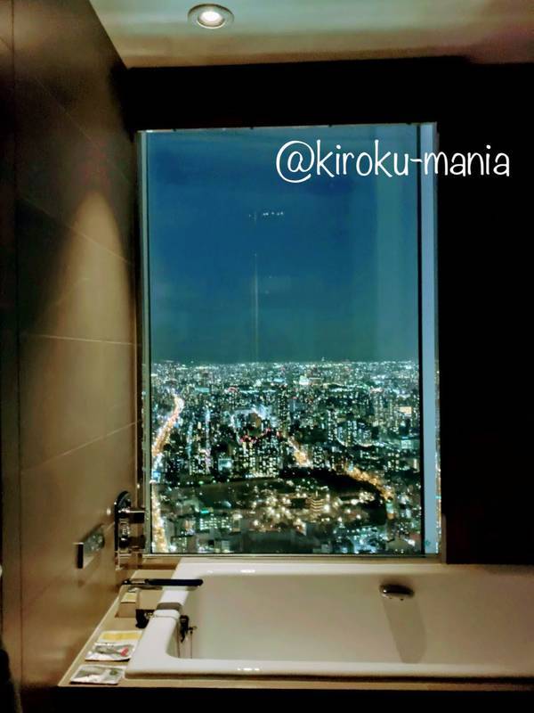 f:id:kiroku-mania:20200705061411j:plain f:id:kiroku-mania:20200705061411j:plain