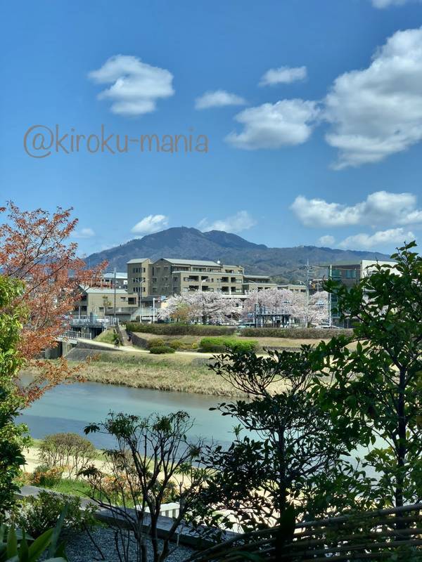f:id:kiroku-mania:20200717210313j:plain f:id:kiroku-mania:20200717210313j:plain