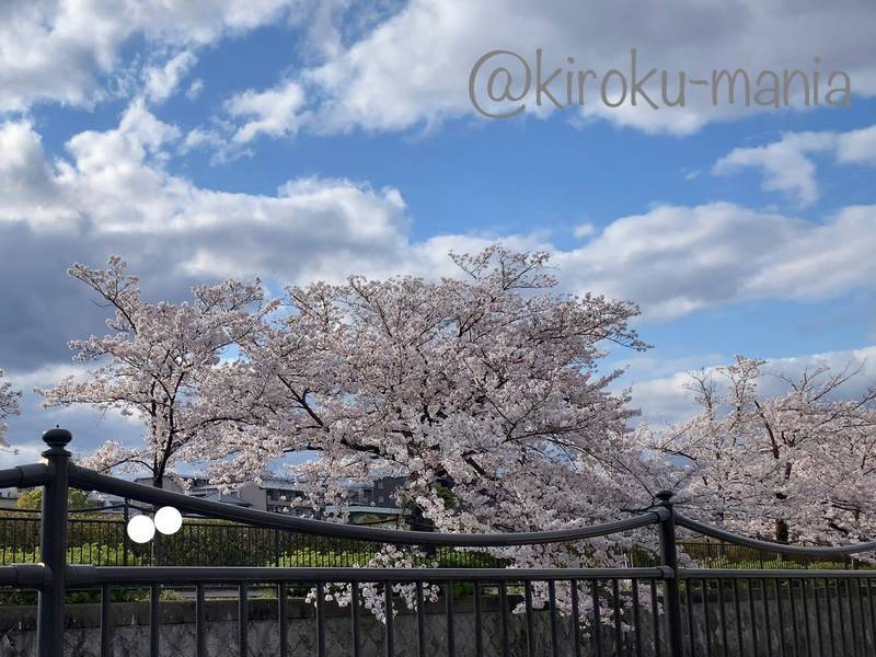 f:id:kiroku-mania:20200717210329j:plain f:id:kiroku-mania:20200717210329j:plain