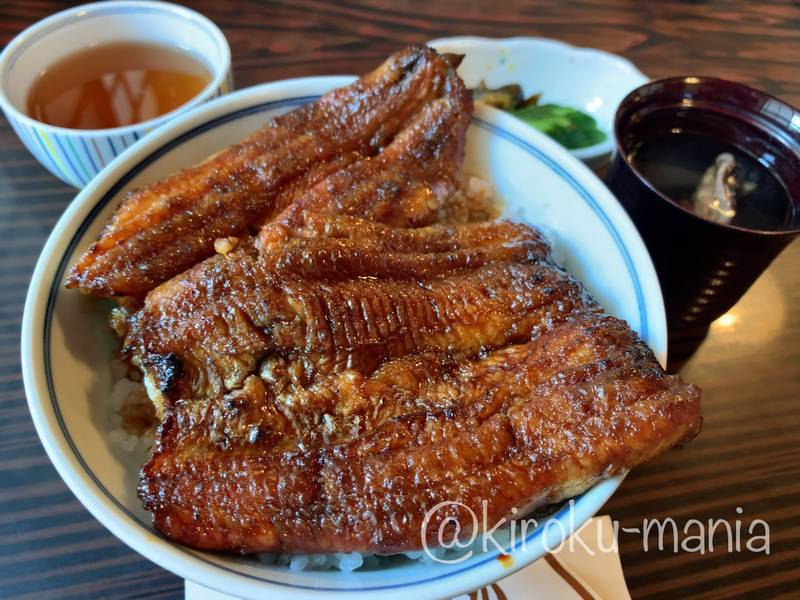 f:id:kiroku-mania:20201009223103j:plain f:id:kiroku-mania:20201009223103j:plain