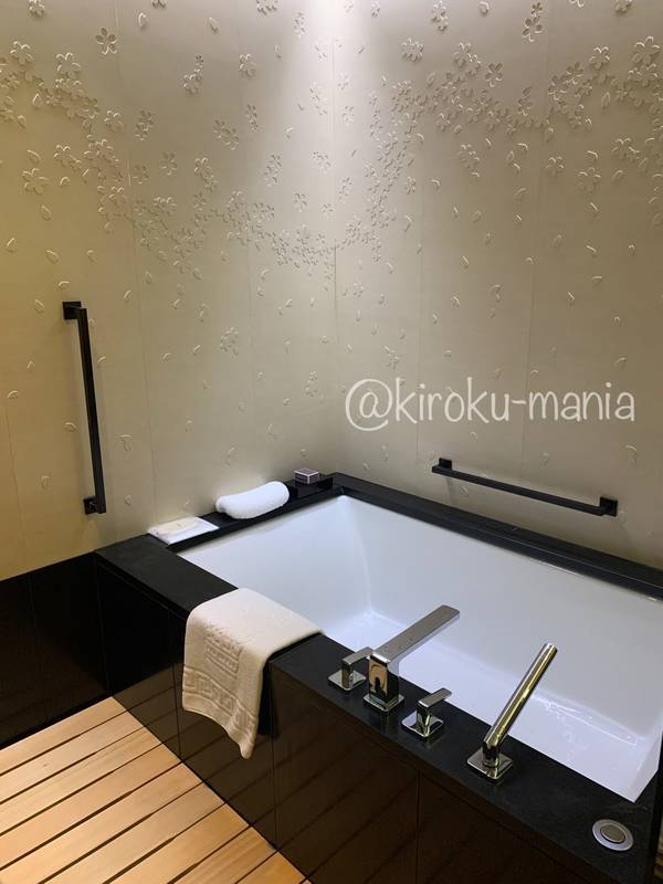 f:id:kiroku-mania:20201029220627j:plain f:id:kiroku-mania:20201029220627j:plain
