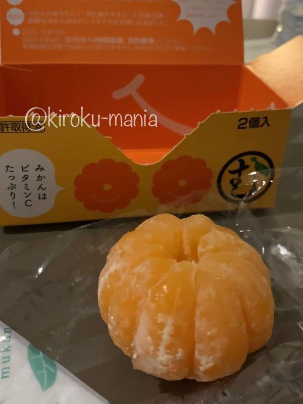 f:id:kiroku-mania:20201107115313j:plain f:id:kiroku-mania:20201107115313j:plain