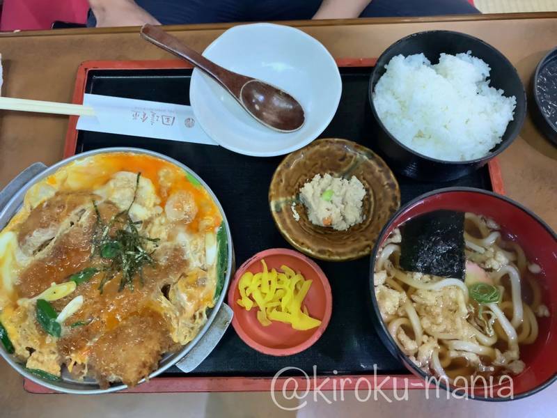 f:id:kiroku-mania:20201217224116j:plain