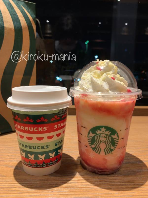 f:id:kiroku-mania:20210121232955j:plain