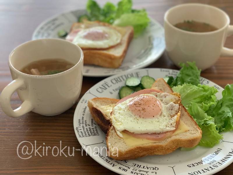 f:id:kiroku-mania:20210328082617j:plain