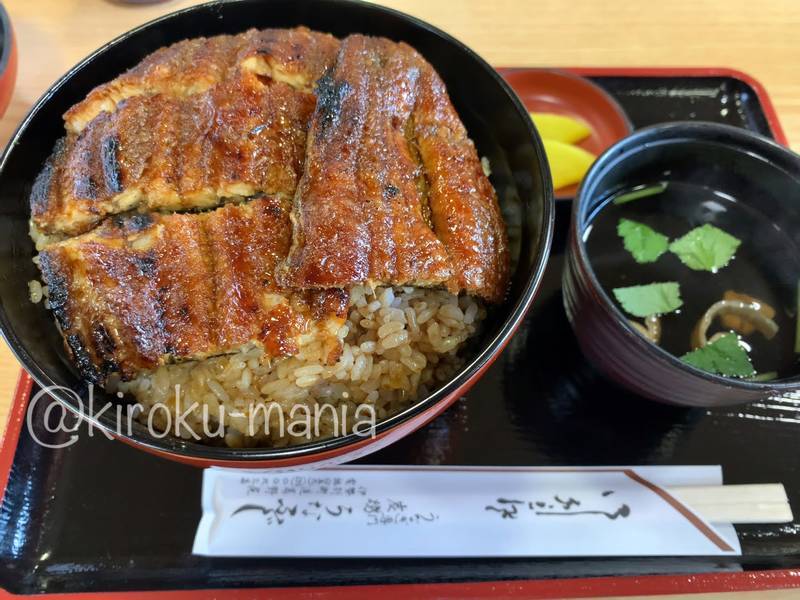 f:id:kiroku-mania:20210516135604j:plain