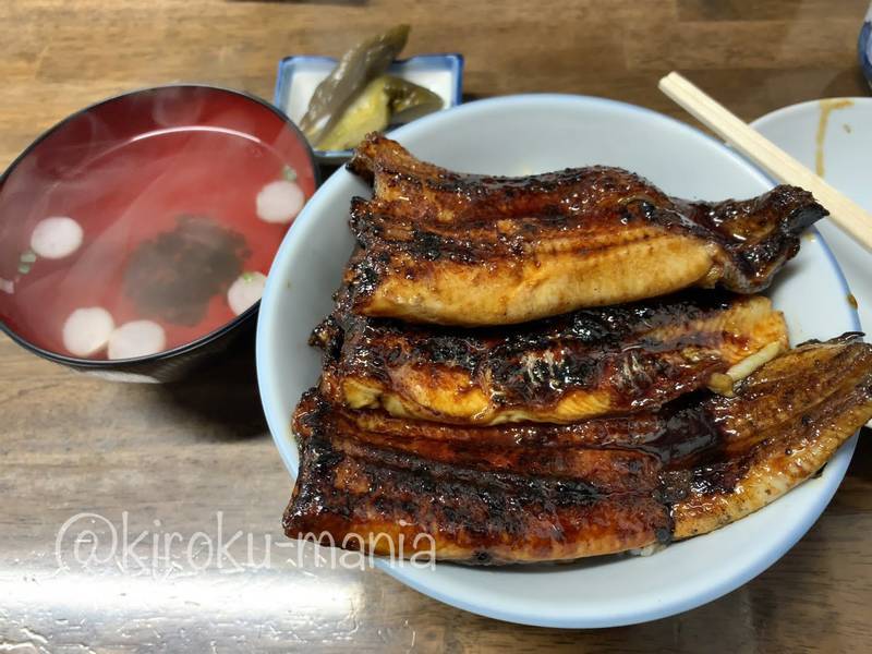f:id:kiroku-mania:20210708211055j:plain