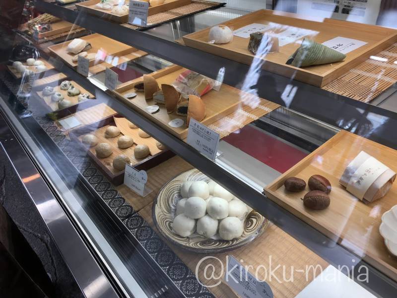 f:id:kiroku-mania:20210708212848j:plain