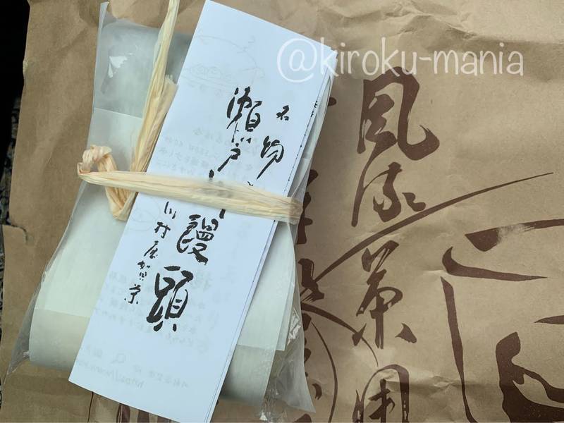 f:id:kiroku-mania:20210708212859j:plain